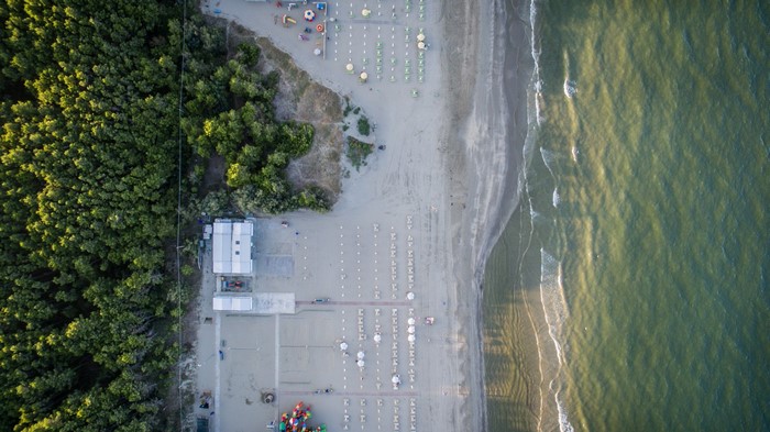 Aerial view of a beach with trees and the ocean