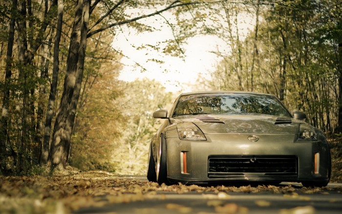 Nissan 350Z sports car on a road in autumn