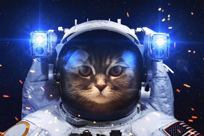 Cat astronaut in space with blue lights
