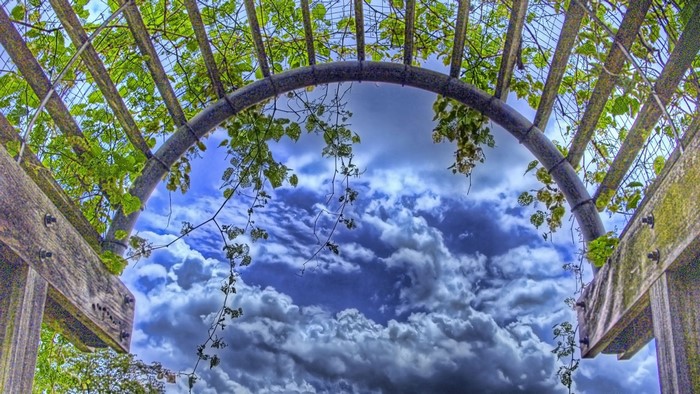Arbor with vines and clouds