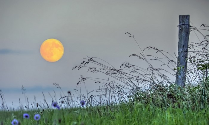 Orange moon over a grassy field with a wooden post