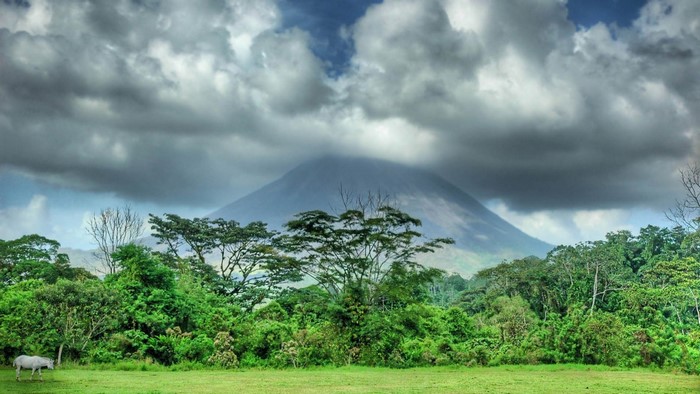 Volcano shrouded in clouds over a lush green landscape with a white horse