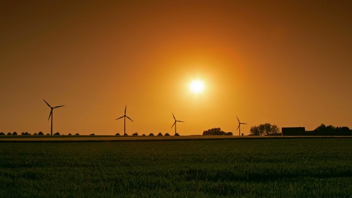 Wind farm at sunset over a green field