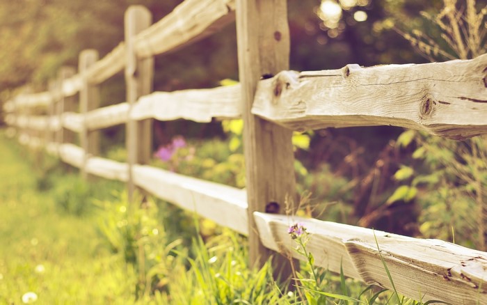 Wooden fence in a grassy field with flowers