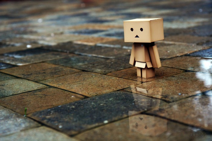 Danbo figure standing on wet stone floor