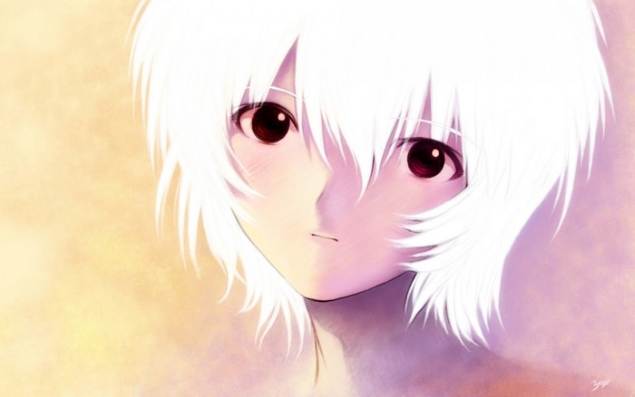 Rei Ayanami from Neon Genesis Evangelion