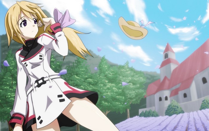 Chifuyu Orimura from Infinite Stratos in a field