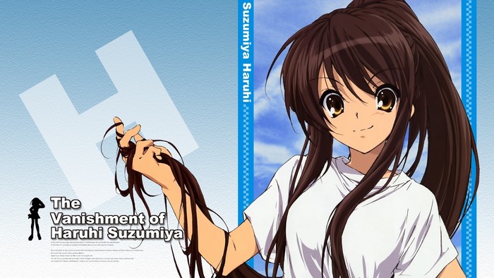 The Vanishment of Haruhi Suzumiya anime illustration
