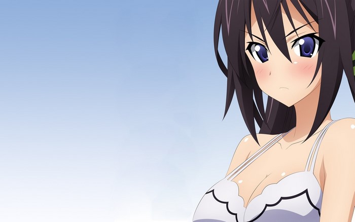 Anime girl with black hair from Infinite Stratos