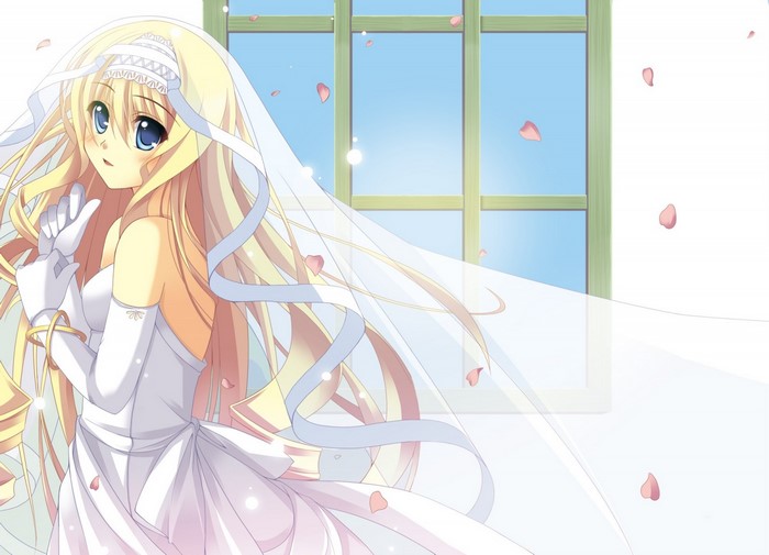 Bride from Infinite Stratos