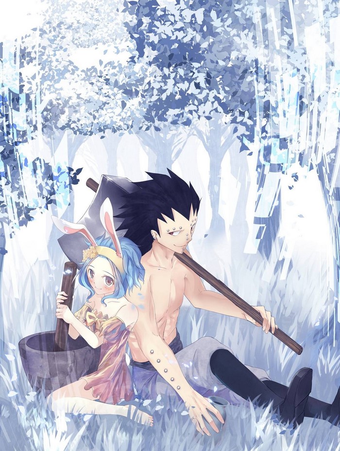 Gajeel Redfox and Levy McGarden from Fairy Tail
