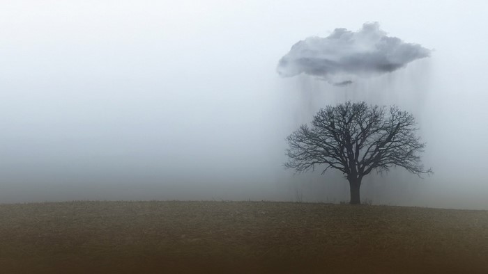 Bare tree in the rain under a dark cloud