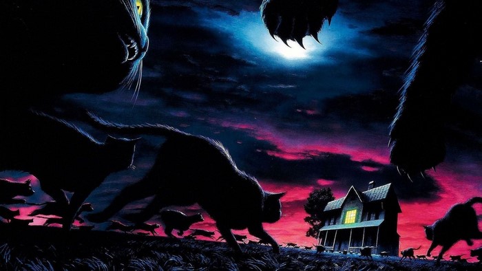 Cats running towards a house at night