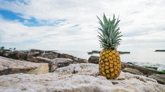 Pineapple on rocks by the sea