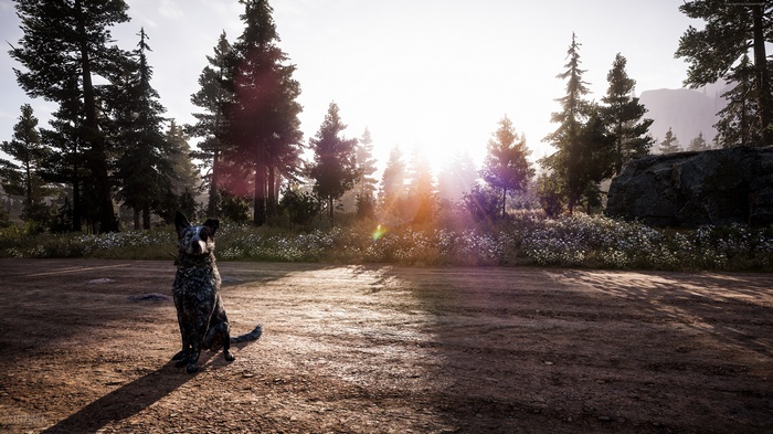 Boomer from Far Cry 5 in Hope County