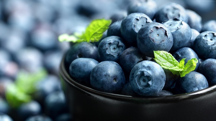 Blueberries in a bowl with mint leaves, 4K