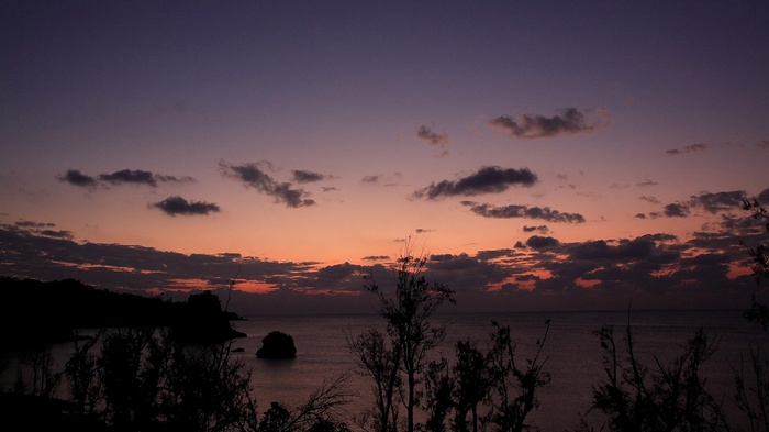 Sunset over the ocean with silhouetted trees and land