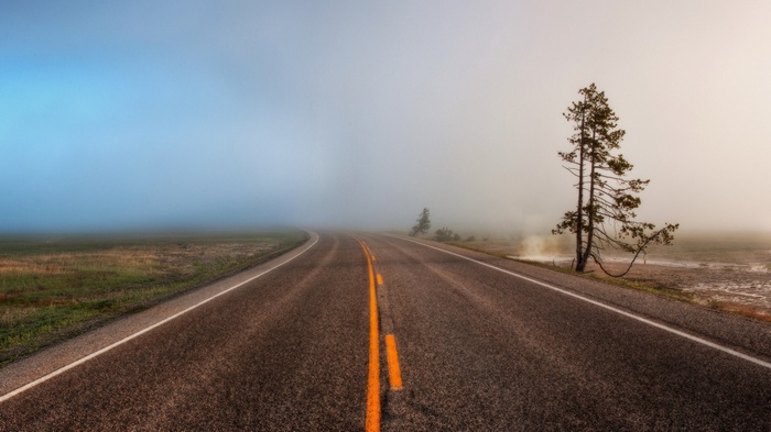 Road through fog with a lone tree