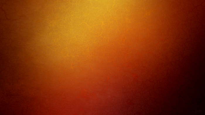 Abstract Sunlit Texture in Warm Tones