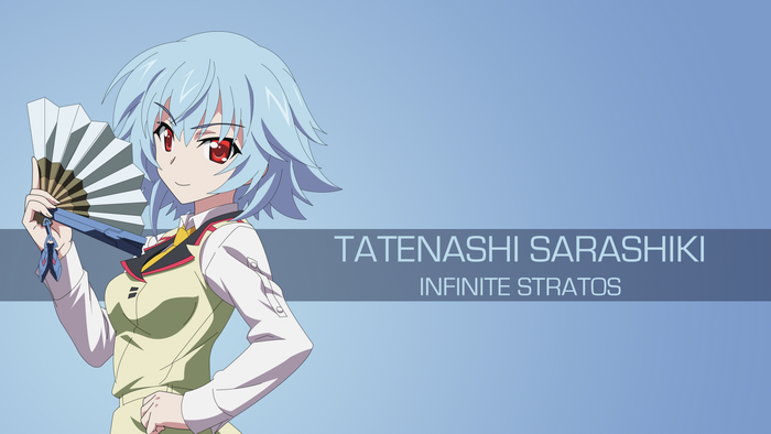 Tatenashi Sarashiki from Infinite Stratos