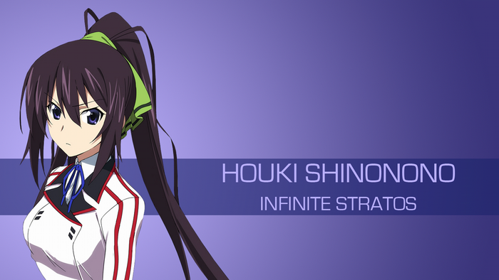 Houki Shinonono from Infinite Stratos