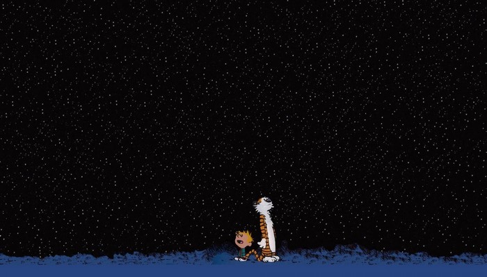 Calvin and Hobbes looking at stars