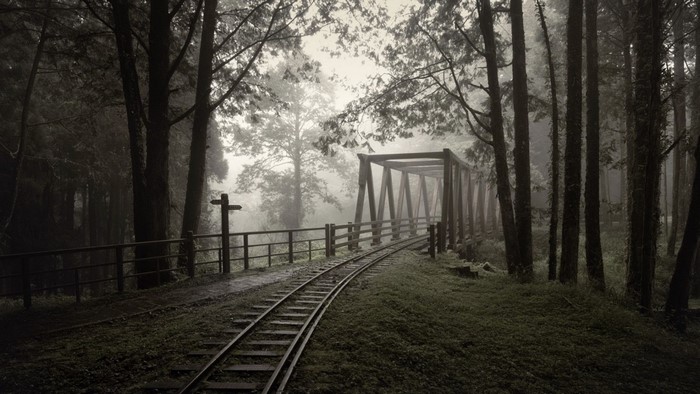 Train tracks and bridge in a foggy forest