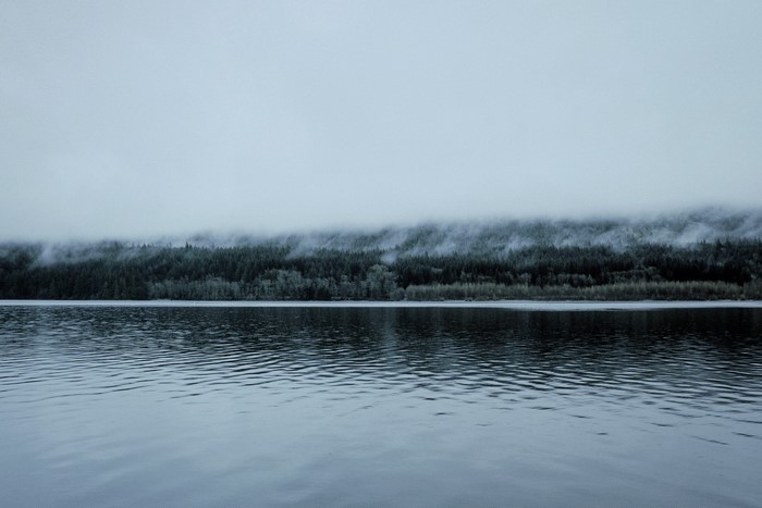 Misty forest reflected in a calm lake on a cloudy day