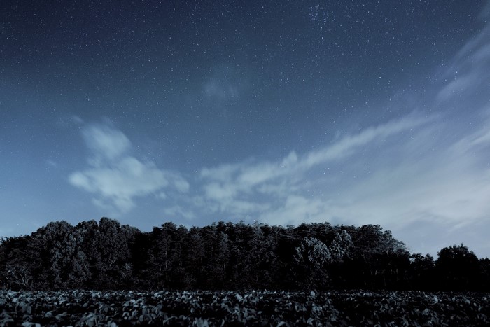 Night sky with stars and clouds over a forest and field
