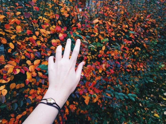 Hand reaching towards autumn leaves