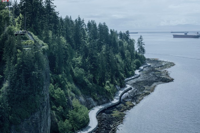 Stanley Park Seawall Vancouver with Ships in Distance