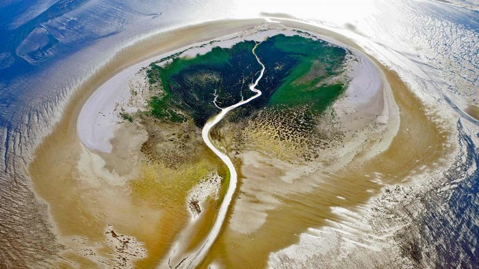 Aerial view of a tidal island with green vegetation and water channels