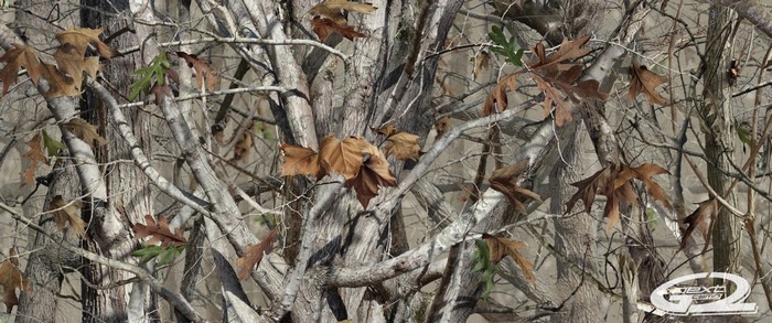 Woodland camouflage pattern with leaves and branches