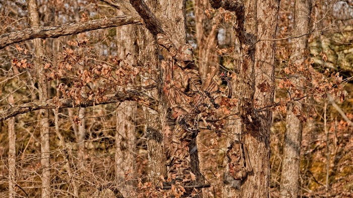 Hunter in camouflage with bow in a tree