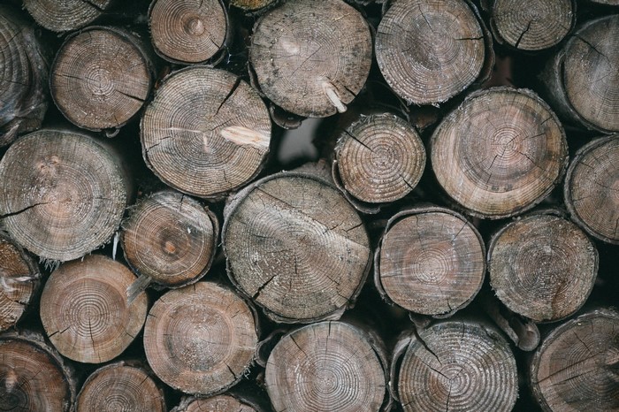 Stack of cut wood logs, close-up view
