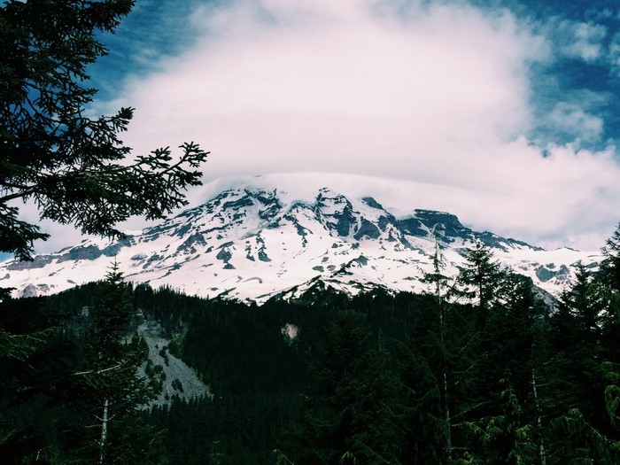 Snow-capped mountain peak with evergreen forest in foreground