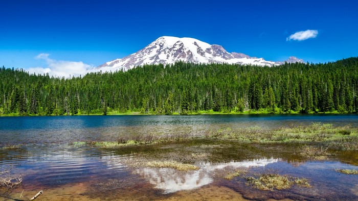 Mount Rainier reflected in a lake with a forest and blue sky
