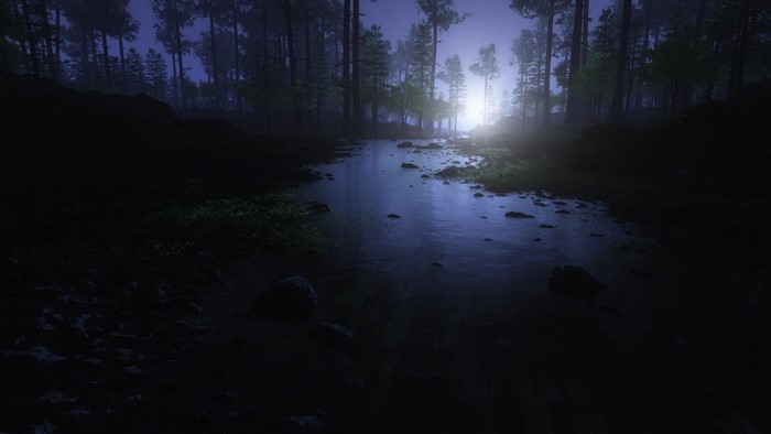 Misty forest with a stream at dawn