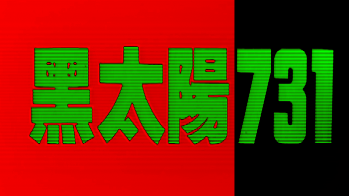 Black Sun 731 Japanese Text and Numbers