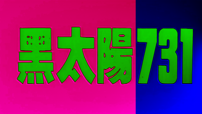 Black Sun 731 Japanese Text and Numbers