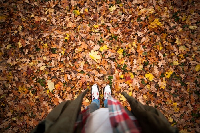 Person standing on fallen autumn leaves