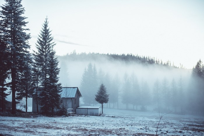 Winter forest with mist and a small cabin