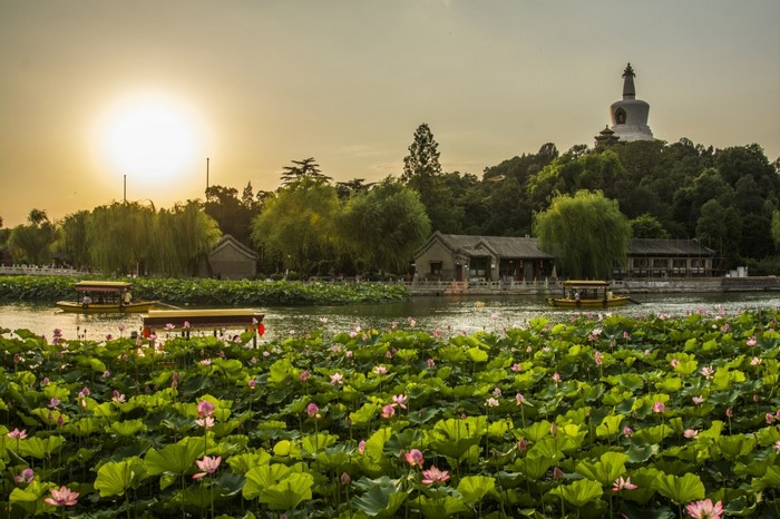 Sunset over a lake with lotus flowers and a pagoda