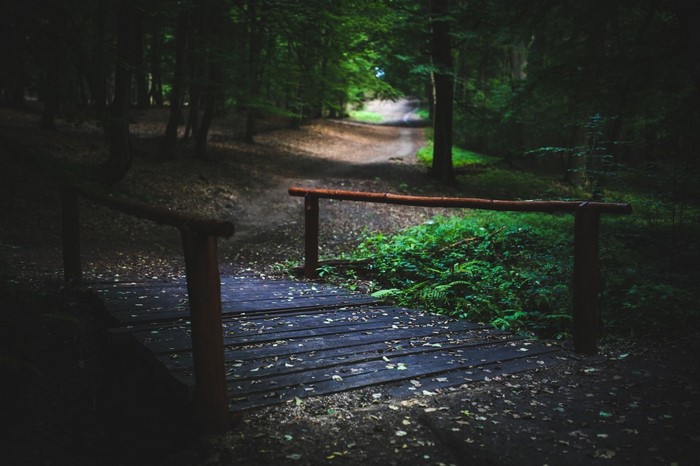 Wooden bridge over a path in a dark forest