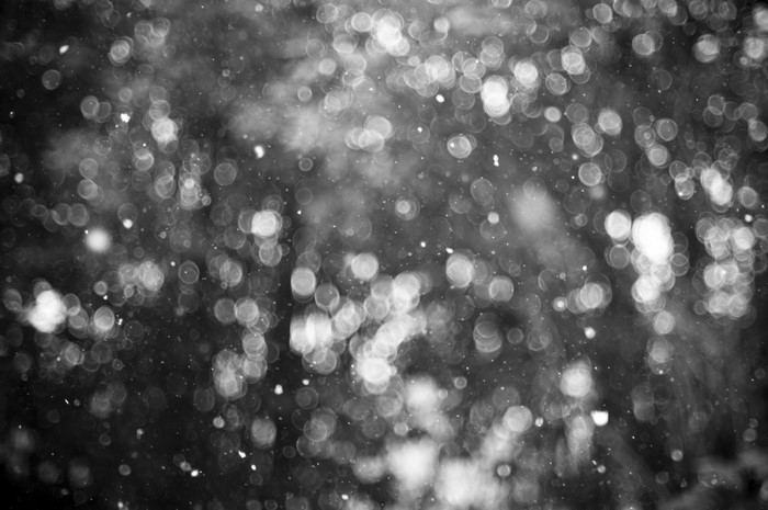 Monochrome bokeh texture with falling snow