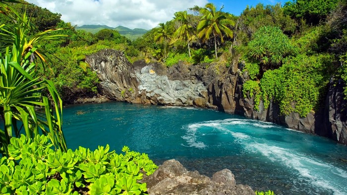 Tropical jungle with turquoise water and volcanic rocks