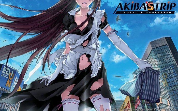 Akiba's Trip: Undead & Undressed - Anime Maid