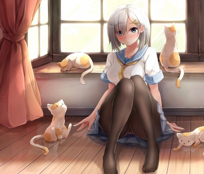 Hamakaze from Kantai Collection with cats