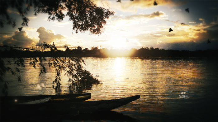 Sunset over a lake with boats and birds