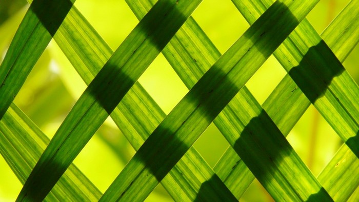 Woven green leaves with sunlight and shadows